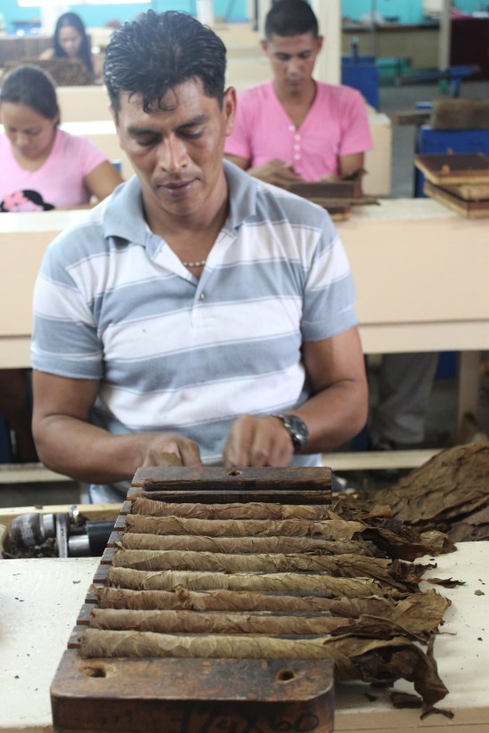 Rolling cigars. Each worker is paid 75 cordoba (about 3 bucks) per 100 rolled cigars.