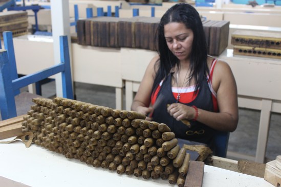 Rolling cigars. Each worker is paid 75 cordoba (about 3 bucks) per 100 rolled cigars.