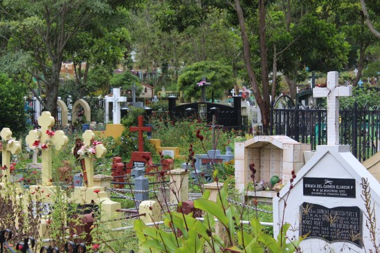A Jinotegan graveyard, candy-colored.