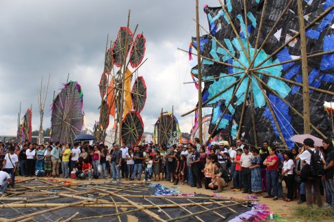 backs of the kites.
