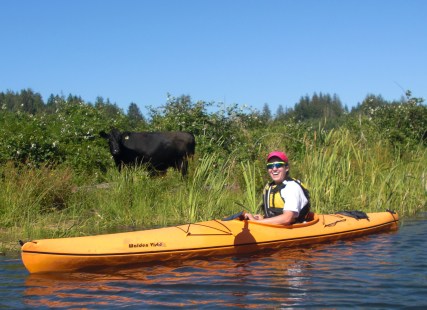 Kayaking near the coast. Cows graze right along the water. I love cows.