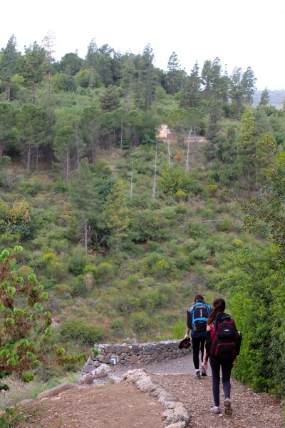 Hiking in the north of Israel (during Passover vacation)