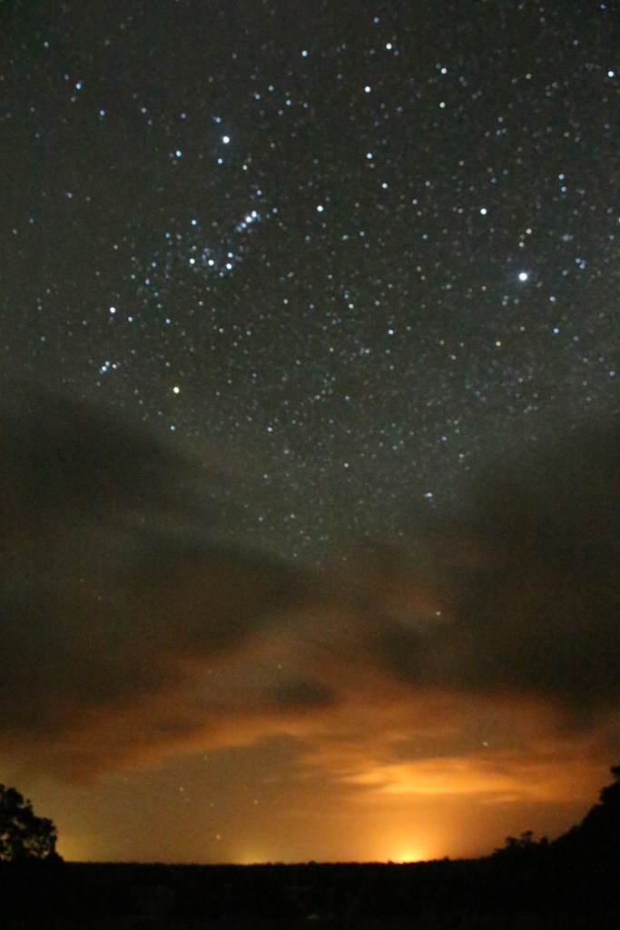 12314712_10153693497681638_3670200395176879251_o