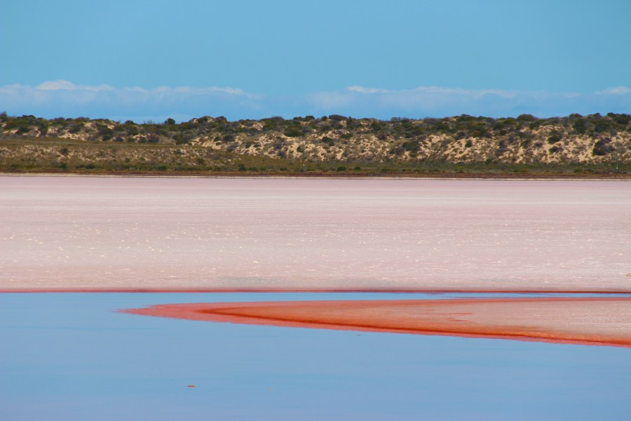 IMG_20160613_143427_625